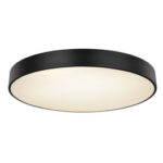 Globo Lighting Wiss 41744-48 Плафон — изображение 12