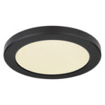 Плафон Globo Lighting Lasse 12379-24B — изображение 19