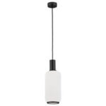 Цви Аргон Сагунто 4357 — изображение 8