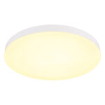 Globo Lighting Matthew 12384-50W Тарелка — изображение 27