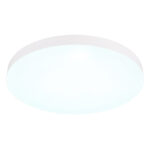 Globo Lighting Matthew 12384-50W Тарелка — изображение 28