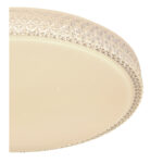 Globo Lighting Ovi 41749-40 Плафон — изображение 17