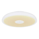 Globo Lighting Raffy 41366W Плафон — изображение 13