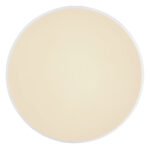 Globo Lighting Sonny 41586-24 Плафон — изображение 17