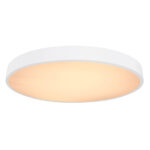 Globo Lighting Wiss 41744-48 Плафон — изображение 16