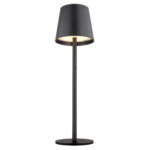 Светильник Globo Vannie Desk Lamp 58438G — изображение 17