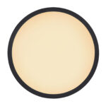 Потолочная лампа Globo Lighting Sapana 41562-24B — изображение 25