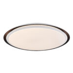 Globo Lighting Xaver 41359-40RGBSH потолочная лампа — изображение 12