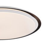 Globo Lighting Xaver 41359-40RGBSH потолочная лампа — изображение 15