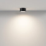 Maytoni Zon C032CL-12W3K-RD-B Plafon — изображение 21