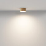 Maytoni Zon C032CL-12W3K-RD-MG Плафон — изображение 21