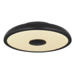 Плафон Globo Lighting Raffy 41366B — изображение 13
