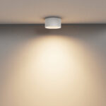 Maytoni Plate Vega C089CL-15W3K WWW — изображение 17