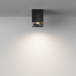Maytoni Plafon Zoom C0330CL-01B — изображение 23