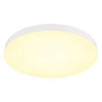 Globo Lighting Matthew 12384-50W Тарелка — изображение 4
