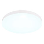 Globo Lighting Matthew 12384-50W Тарелка — изображение 5