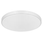 Globo Lighting Sonny 41586-24 Плафон — изображение 2