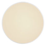 Globo Lighting Sonny 41586-24 Плафон — изображение 3
