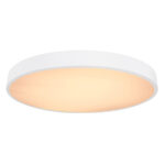 Globo Lighting Wiss 41744-48 Плафон — изображение 4