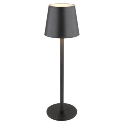 Светильник Globo Vannie Desk Lamp 58438G