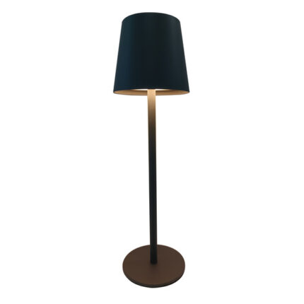 Светильник Globo Vannie Desk Lamp 58438G