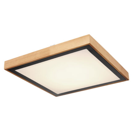 Потолочная лампа Globo Lighting Bruno 41764-24Q