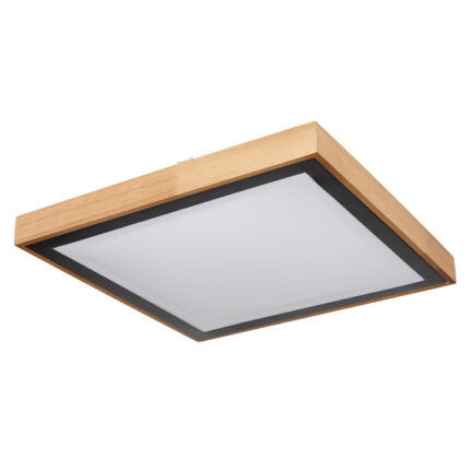 Потолочная лампа Globo Lighting Bruno 41764-24Q