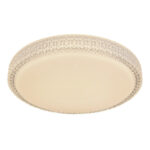 Потолочная лампа Globo Lighting Ovi 41749-22