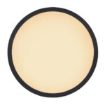 Потолочная лампа Globo Lighting Sapana 41562-24B — изображение 3