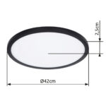 Потолочная лампа Globo Lighting Sapana 41562-24B — изображение 5
