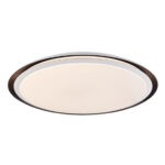 Globo Lighting Xaver 41359-40RGBSH потолочная лампа
