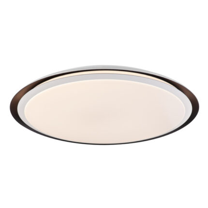Globo Lighting Xaver 41359-40RGBSH потолочная лампа