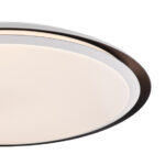 Globo Lighting Xaver 41359-40RGBSH потолочная лампа — изображение 4