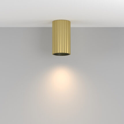 Maytoni Calipso C106CL-01-GU10-BS потолочная лампа