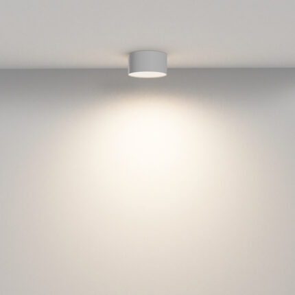Потолочная лампа Maytoni Zon C032CL-12W3K-RD WWW