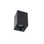 Потолочная лампа Nowodvorski Bravo 8365