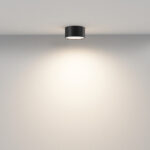 Maytoni Zon C032CL-12W3K-RD-B Plafon — изображение 2