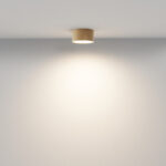 Maytoni Zon C032CL-12W3K-RD-MG Плафон — изображение 2
