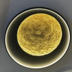 Светильник Berella Light Popii PL60 BL5644