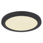 Плафон Globo Lighting Lasse 12379-24B