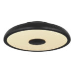 Плафон Globo Lighting Raffy 41366B