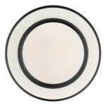 Плафон Globo Lighting Салли 41368-24 — изображение 3