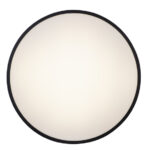 Плафон Глобо Освещение Wiss 41744-48S — изображение 3