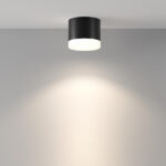 Maytoni Plafon Pauline C087CL-GX53-B — изображение 2