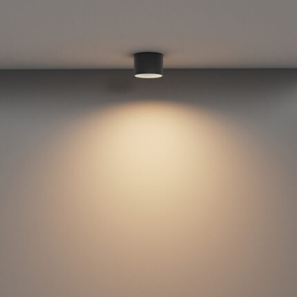 Maytoni Plafon Vega C089CL-8W3K-B