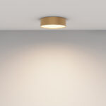Maytoni Plate Zon C032CL-24W3K-RD-MG — изображение 2