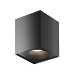 Maytoni Plafon Zoom C0330CL-01B