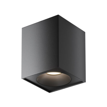 Maytoni Plafon Zoom C0330CL-01B