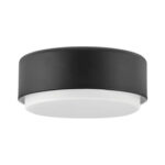 Потолочная лампа Elstead Lighting HK-CEDRIC-F-S-BR — изображение 12