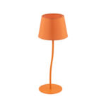 TK Lighting Никола 6641 Настольная лампа — изображение 16